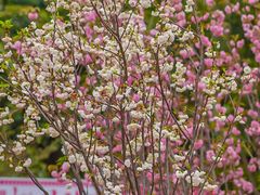 -观澜湖生态运动公社