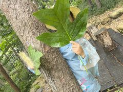 -昆嵛山石门里景区