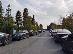 -广富林郊野公园