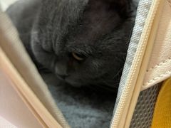 -宠爱国际动物医院·疑难骨科·心肾内科·皮肤科(太阳宫店)
