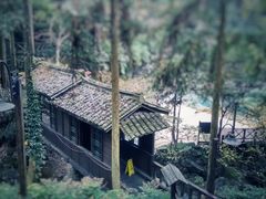 -宁海森林温泉