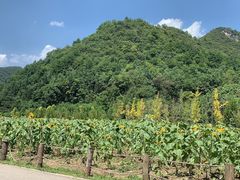 -贵阳市花溪国家城市湿地公园