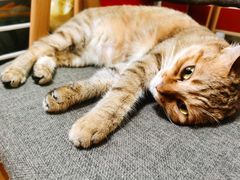 -H立方实景剧情密室(天河旗舰店)
