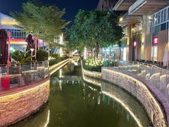 -若蘭慈·无国界素食料理(欢乐海岸店)