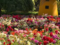 -西宁市人民公园(城西区)