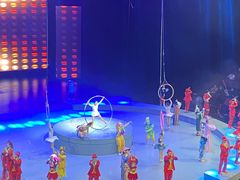-重庆国际马戏城