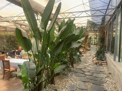 -桉树林A coffee 森林餐厅(三圣乡店)