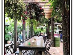 -The Grounds of Alexandria