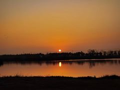 -春花秋色城市公园