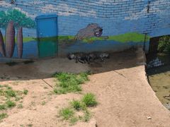 -西霞口神雕山野生动物世界