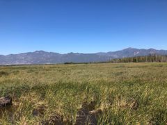 -野鸭湖国家湿地公园