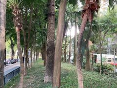 -深圳华侨城医院