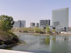 -大兴滨河森林公园