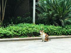 -巴金故居