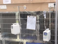 -瑞鹏宠物医院华南总院·夜诊·心脏科·骨科