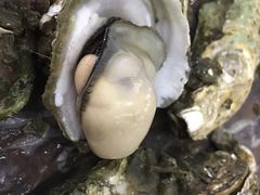 -百丈园龙江啫神馆