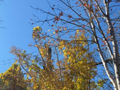 -回龙观体育文化公园