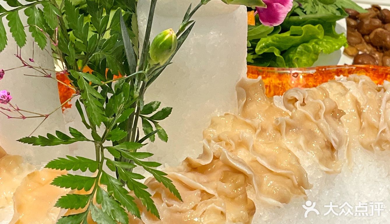 一人一锅🍲，干净卫生，象拔蚌刺身蛮新鲜的