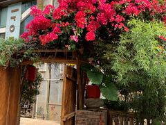 -双廊杨记石锅鱼石锅牛肉