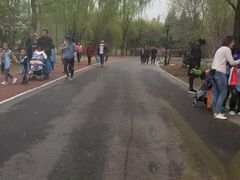 -朝阳公园游乐园