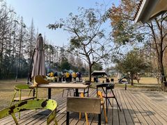 -前小桔亲子创意农场·草莓采摘·露营烧烤