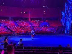 -珠海横琴长隆《卡卡虎奇遇记》