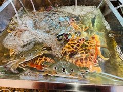 -厦门悦华酒店