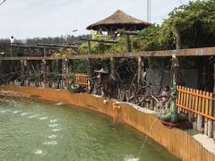 -呀路古热带植物园