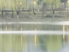 -羊山湖公园