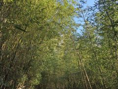 -白鹿原影视城