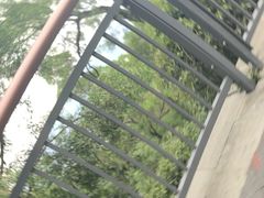 -金鸡山公园