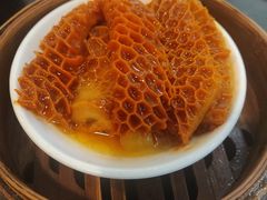萝卜金钱肚-添运来(茶园奥园广场店)