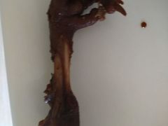 -小李烧鸡(大沽路店)