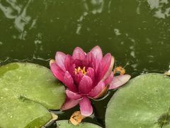 -三里河公园