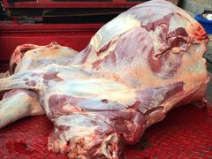 -佳荣老五生态牛肉馆