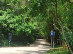 -金山植物公园