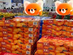 -山姆会员商店(亦庄创意生活广场店)
