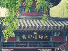 -皇家御河游(紫御湾码头)
