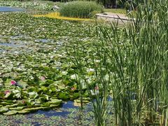 -长春市南湖公园