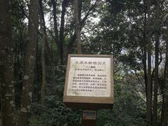 -永泰中国云顶
