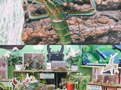 -正佳雨林生态植物园