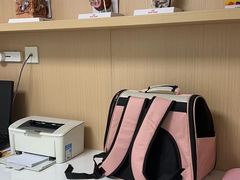 -谐和贝康宠物医院24小时·宠保定点(急重症转诊中心)