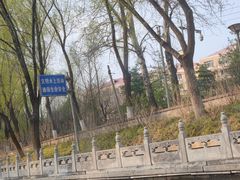 -皇家御河游(紫御湾码头)