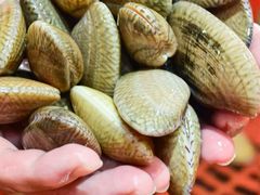 -巽寮印象美食部落餐厅·海鲜·地方特色菜(惠州体验店)