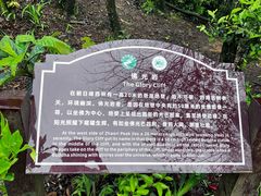 -缙云山景区