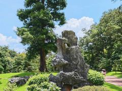 -深圳仙湖植物园