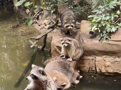 -长鹿旅游休博园