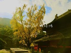 -大罗山风景区