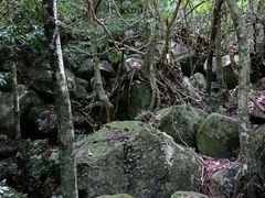 -七仙岭温泉国家森林公园