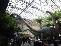 -国家自然博物馆